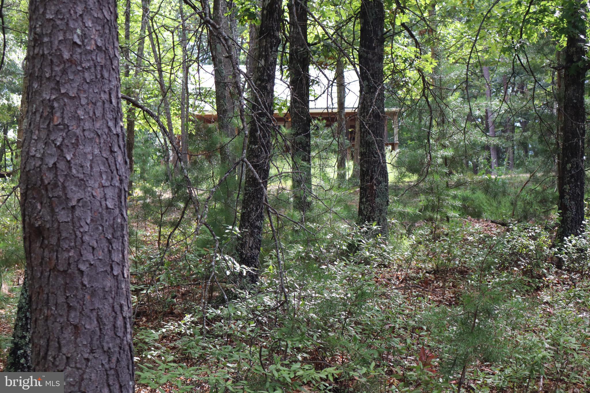 418 R R & R Ridge Road Brandywine, WV 26802 - Photo 43 of 43 a view of outdoor space and green space