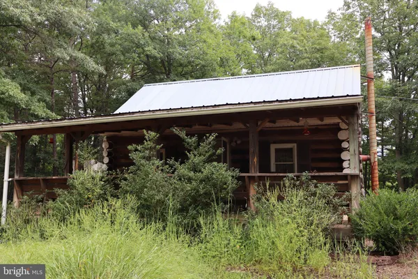 a view of a backyard with plants