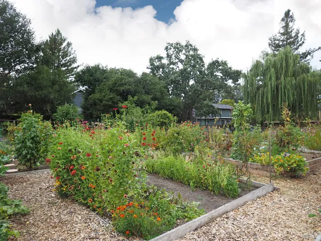 a backyard of a house with table and chairs