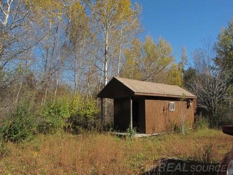 2004 Emerson Road Goodells, MI 48027 - Photo 1 of 6 31269561.JPG