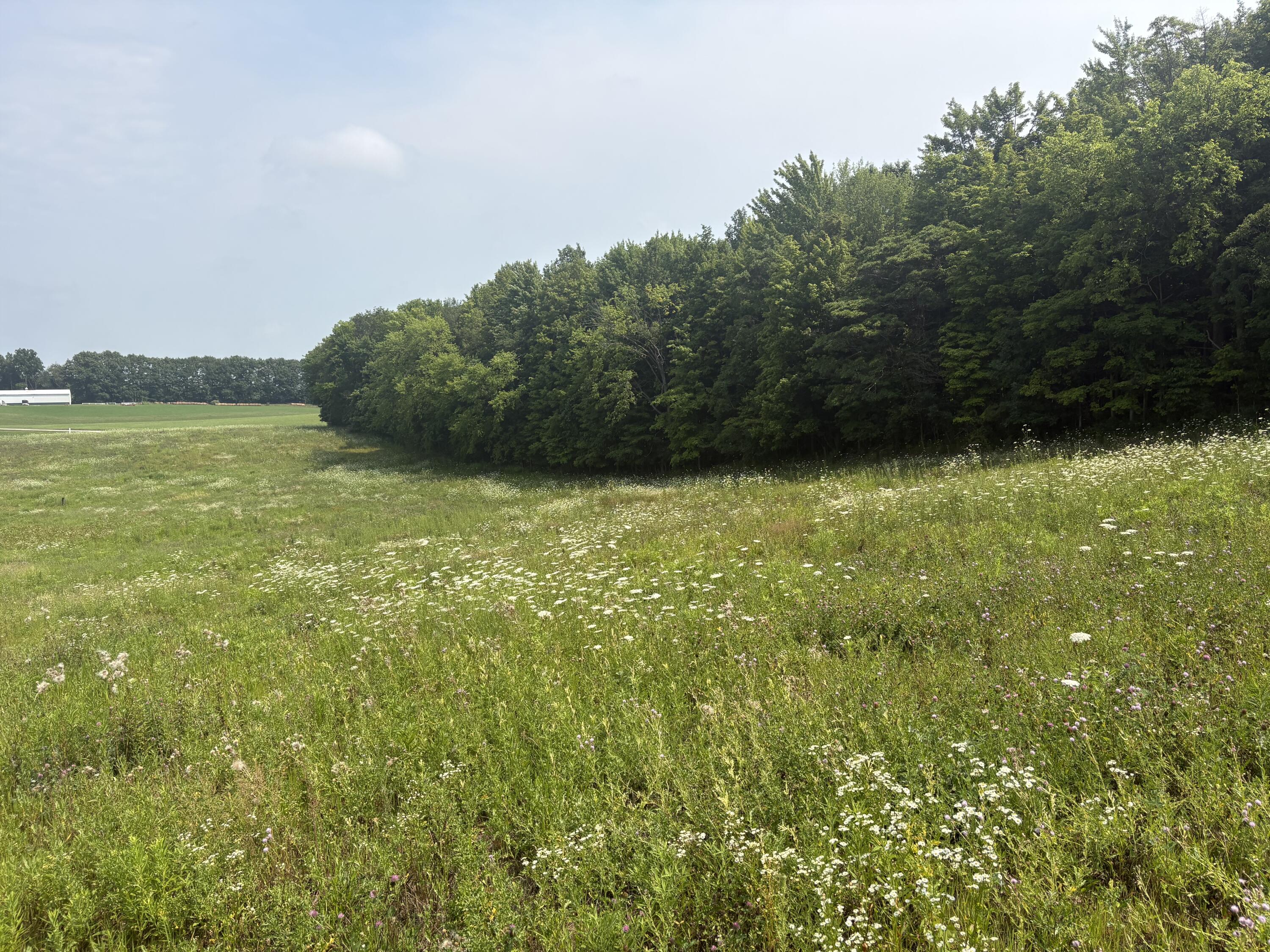 210 West Wagner Road Galien, MI 49113 - Photo 7 of 9 IMG_3345