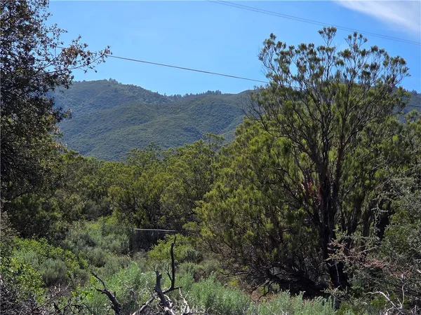 $155,000 | 37400 Tripp Flats Road, Anza, CA 92539