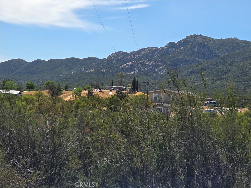 37400 Tripp Flats Road Anza, CA 92539 - Photo 2 of 13