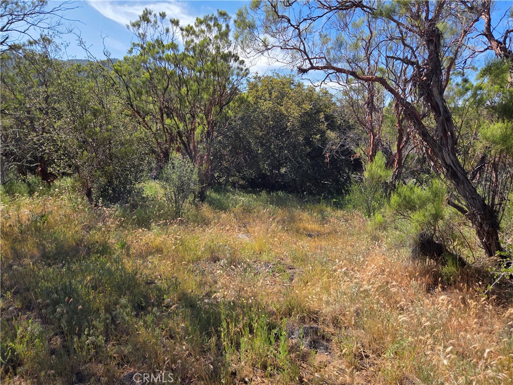 37400 Tripp Flats Road Anza, CA 92539 - Photo 3 of 13
