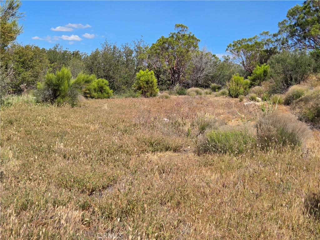 37400 Tripp Flats Road Anza, CA 92539 - Photo 4 of 13