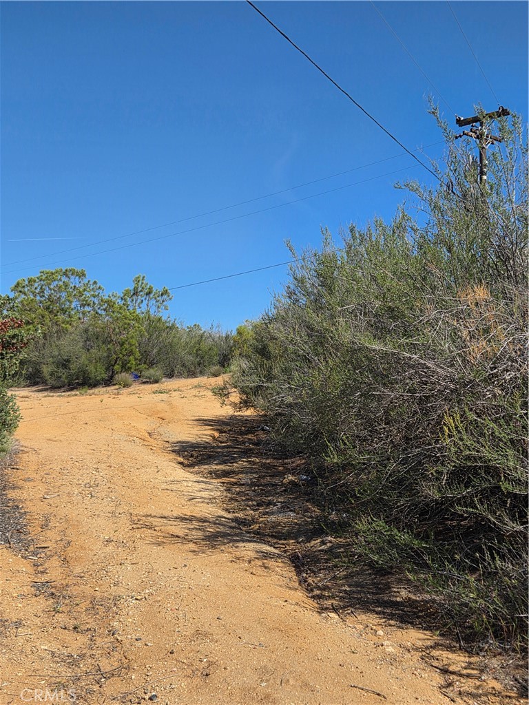 37400 Tripp Flats Road Anza, CA 92539 - Photo 5 of 13