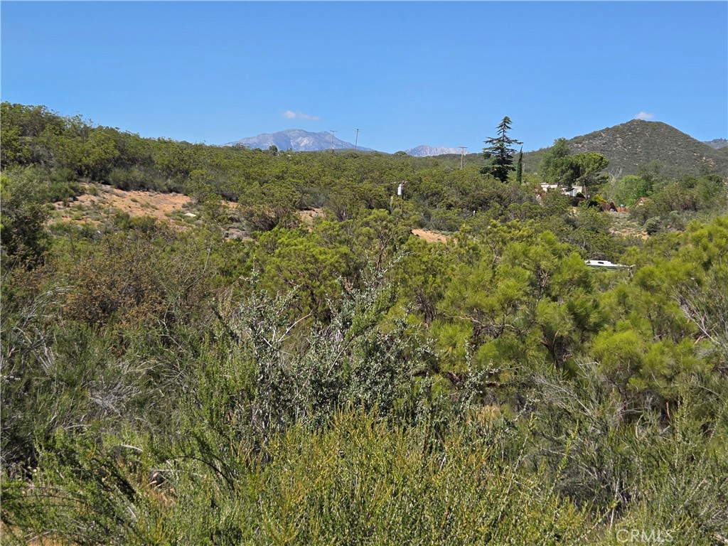 37400 Tripp Flats Road Anza, CA 92539 - Photo 6 of 13