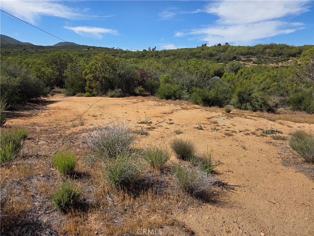 37400 Tripp Flats Road Anza, CA 92539 - Photo 7 of 13