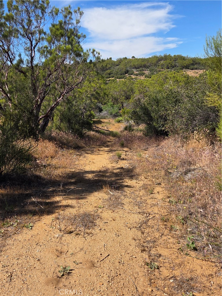 37400 Tripp Flats Road Anza, CA 92539 - Photo 8 of 13