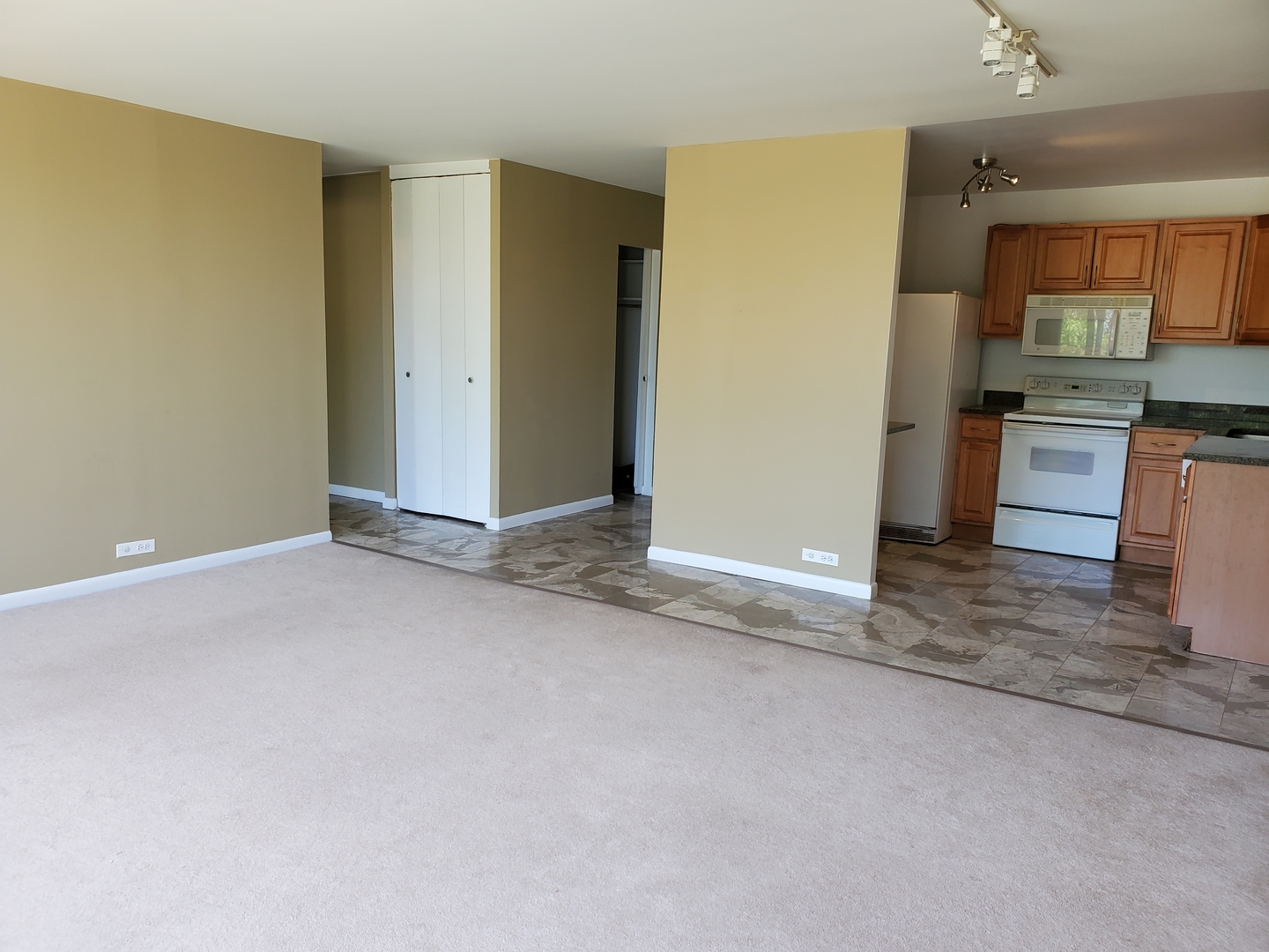 5445 North Sheridan Road, Unit 406 Chicago, IL 60640 - Photo 4 of 16