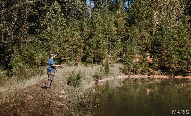 $321,360 | Road-tract 1 Unincorporated Mo 65560, Salem, MO 65560