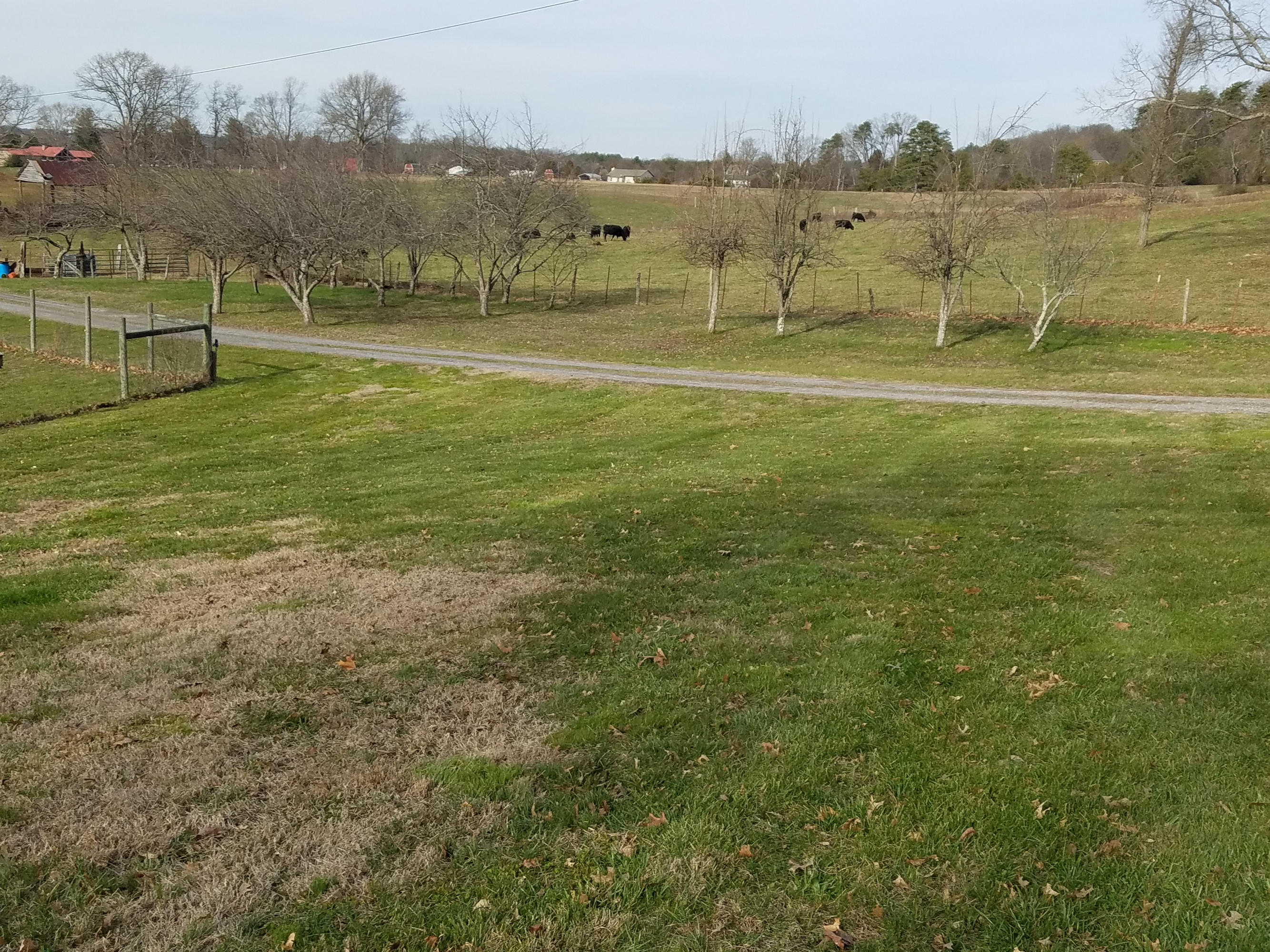 428 Binfield Road Maryville, TN 37801 - Photo 17 of 28 20170220_155640