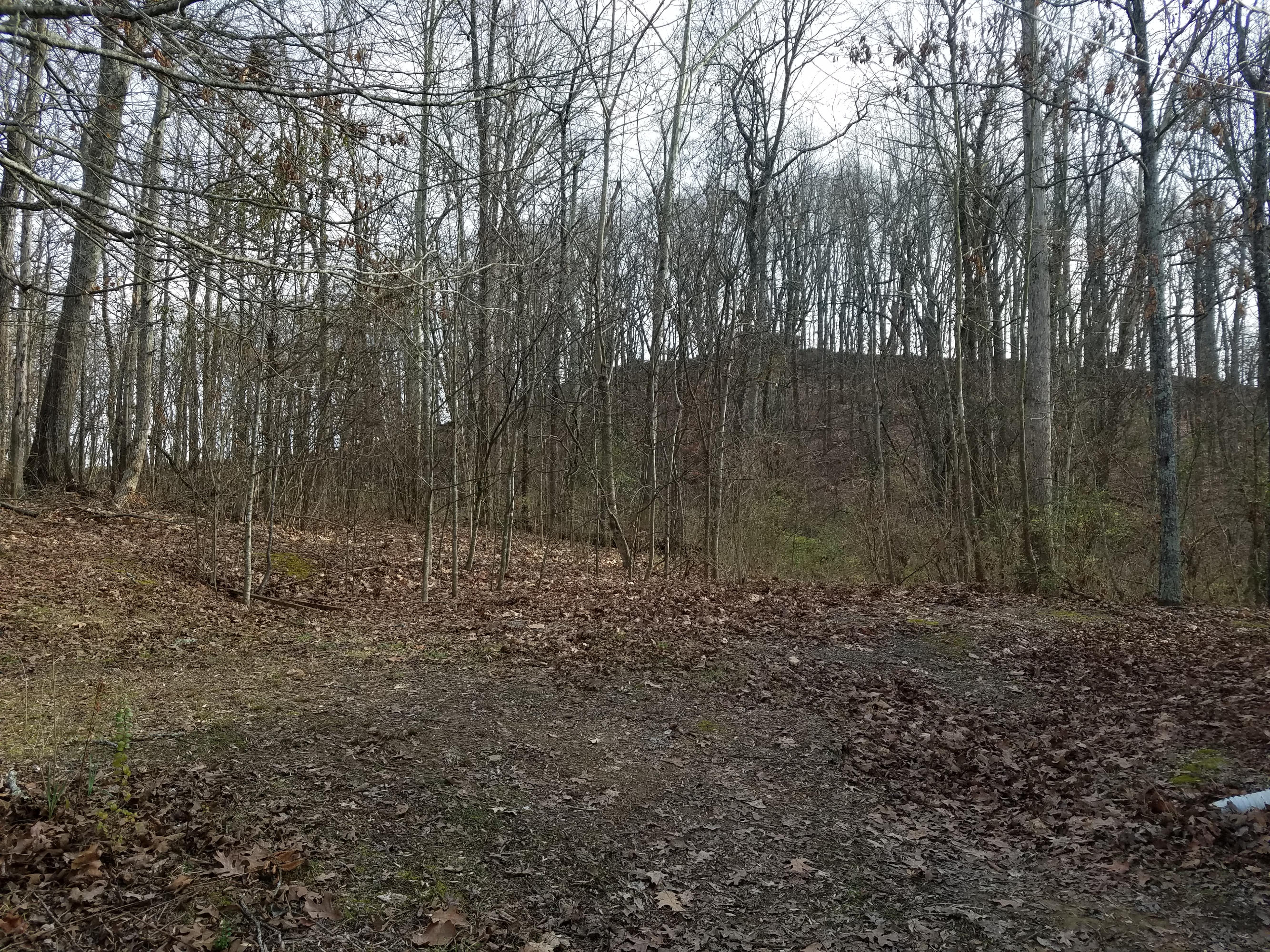428 Binfield Road Maryville, TN 37801 - Photo 18 of 28 20170220_155835