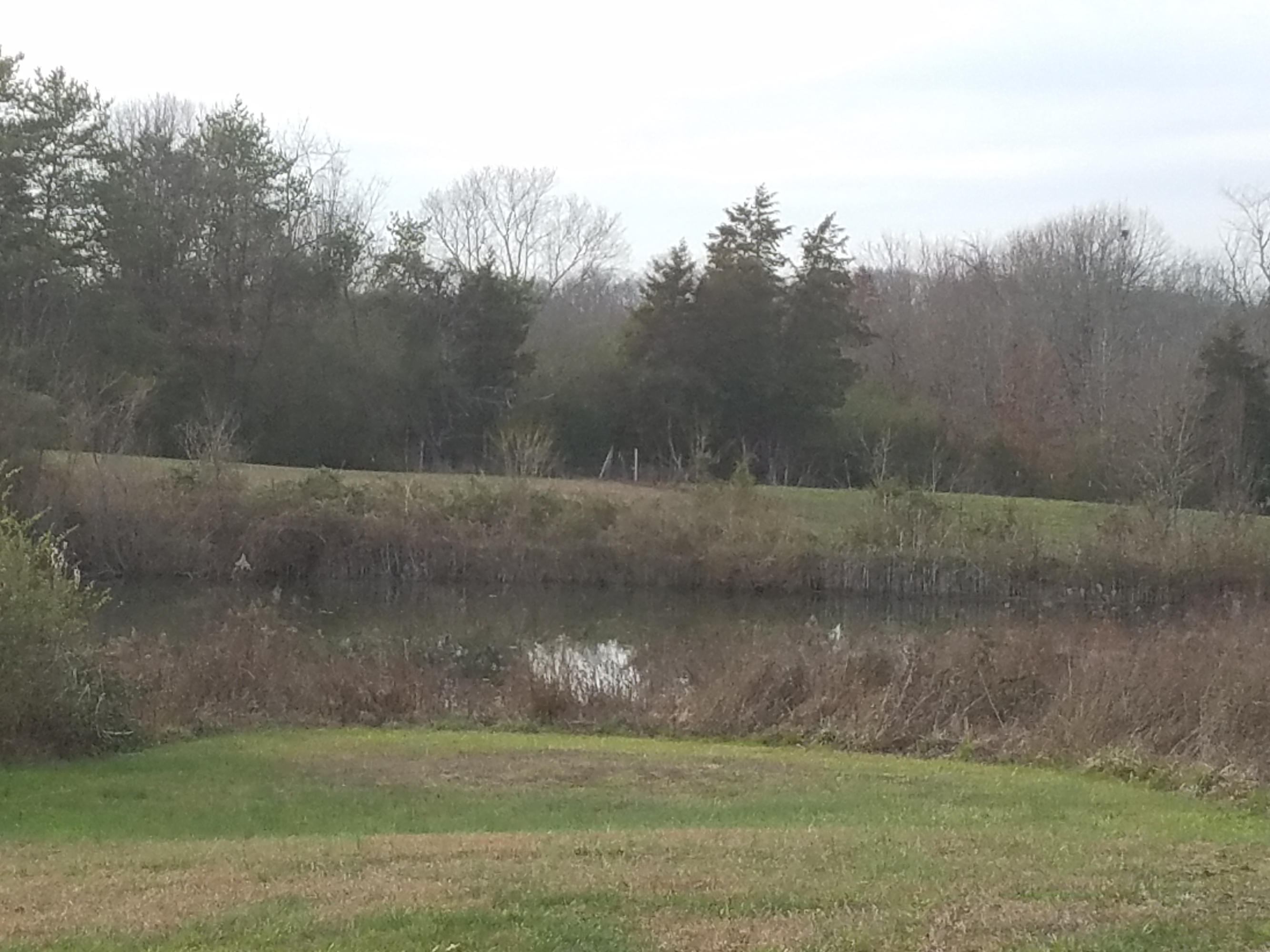 428 Binfield Road Maryville, TN 37801 - Photo 27 of 28 20170220_163216