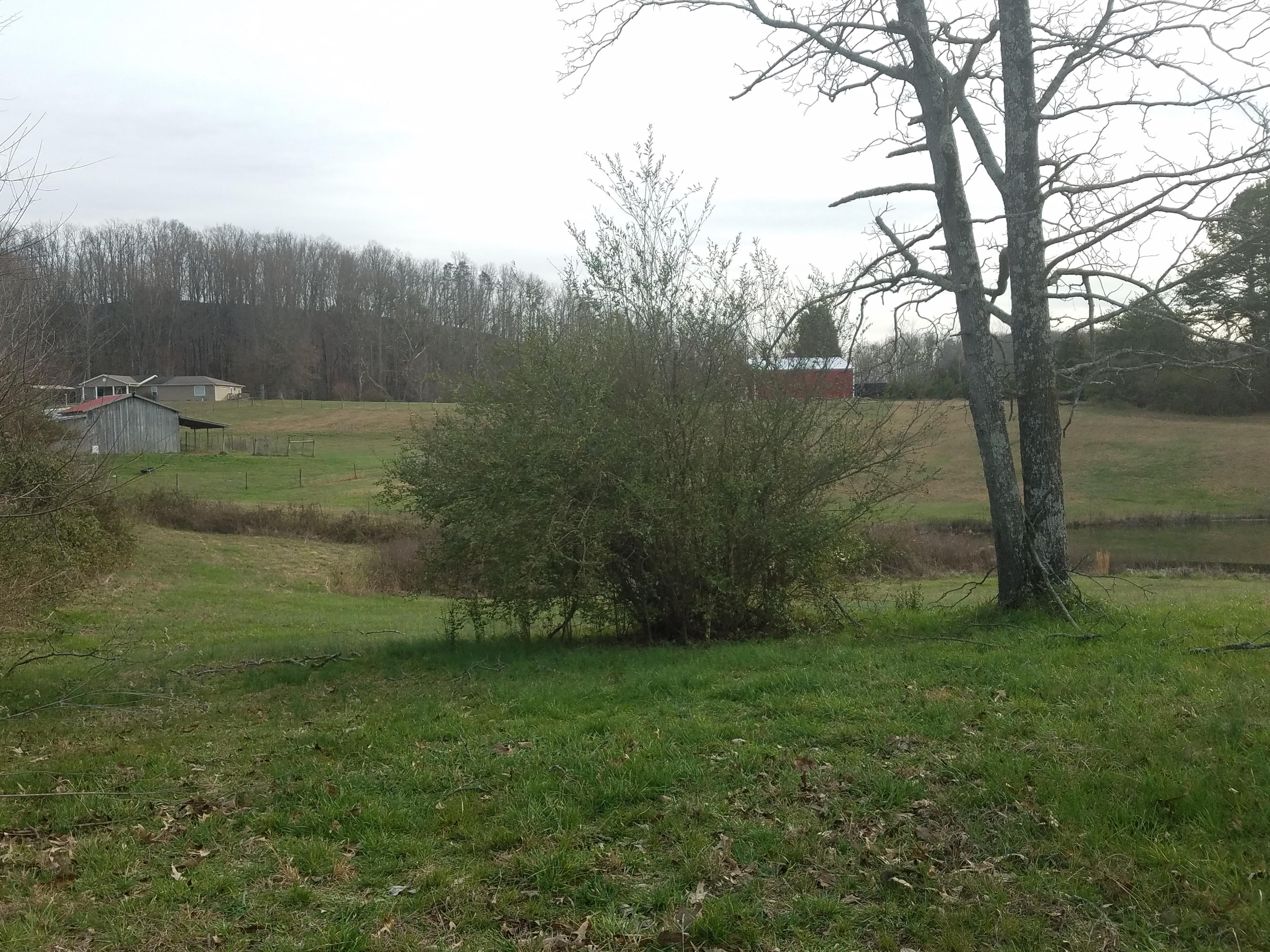 428 Binfield Road Maryville, TN 37801 - Photo 28 of 28 20170220_163313