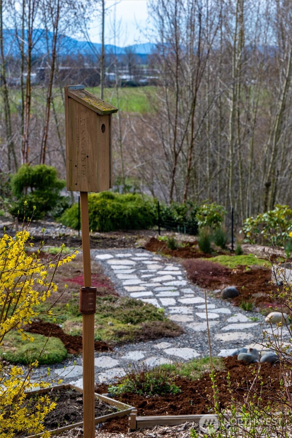125 Ridgeview Street Sumas, WA 98295 - Photo 34 of 40 a view of a yard with plants