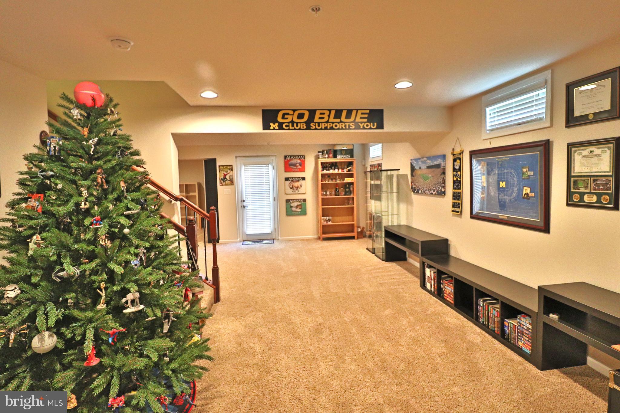 160 Cool Springs Road North East, MD 21901 - Photo 36 of 72 Star Wars Tree....May the Force Be With You!