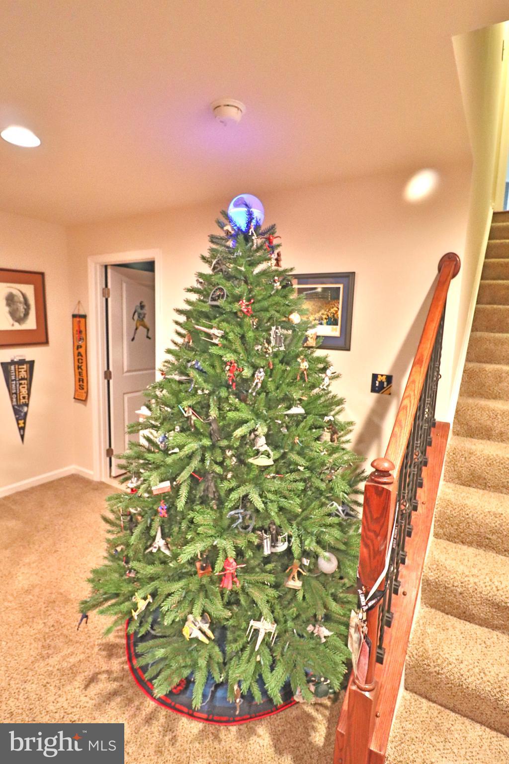 160 Cool Springs Road North East, MD 21901 - Photo 55 of 72 Star Wars Tree...nuff said........