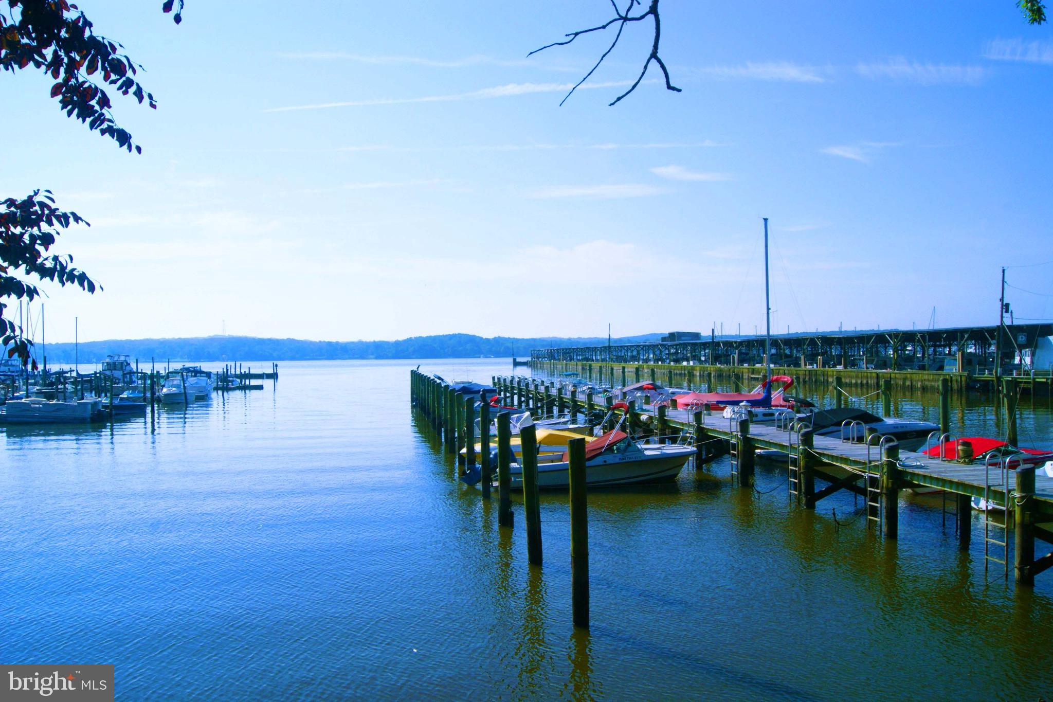 160 Cool Springs Road North East, MD 21901 - Photo 60 of 72