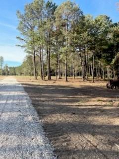 Parcel B Magee Road Folsom, LA 70437 - Photo 1 of 5 Gallery Image 1