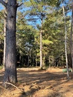 Parcel B Magee Road Folsom, LA 70437 - Photo 3 of 5 Gallery Image 3