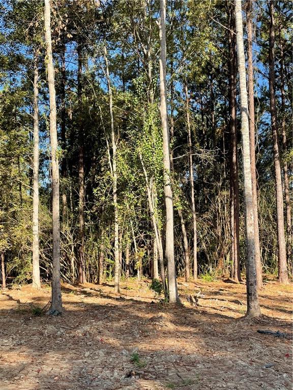 Parcel B Magee Road Folsom, LA 70437 - Photo 4 of 5 Gallery Image 4
