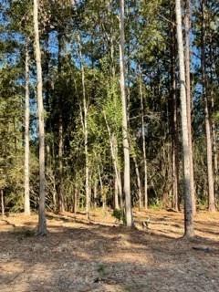 Parcel B Magee Road Folsom, LA 70437 - Photo 5 of 5 Gallery Image 5