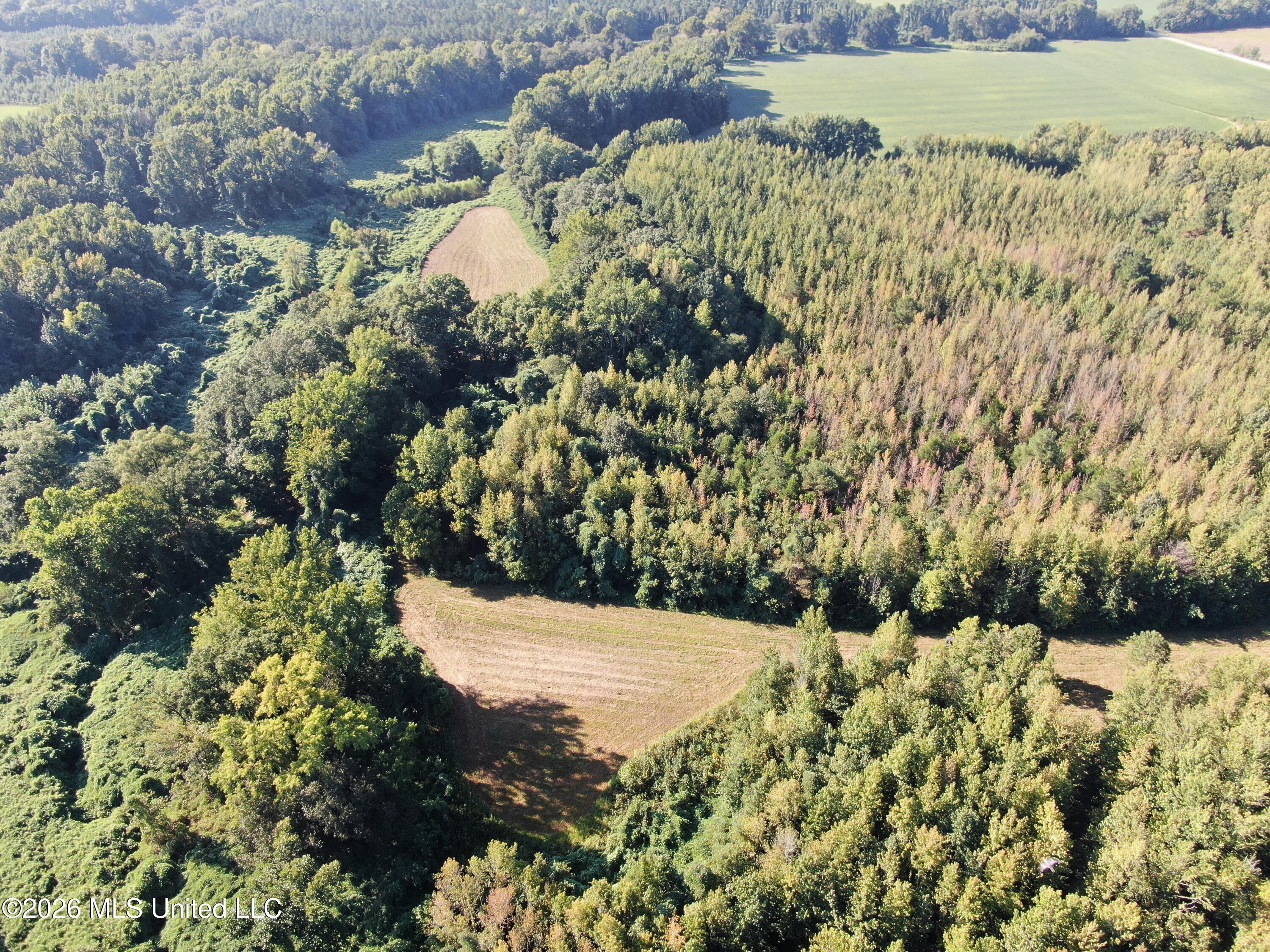 390 Old Panola Road Como, MS 38619 - Photo 26 of 71 DJI_0164