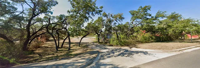 a view of a tree with a yard