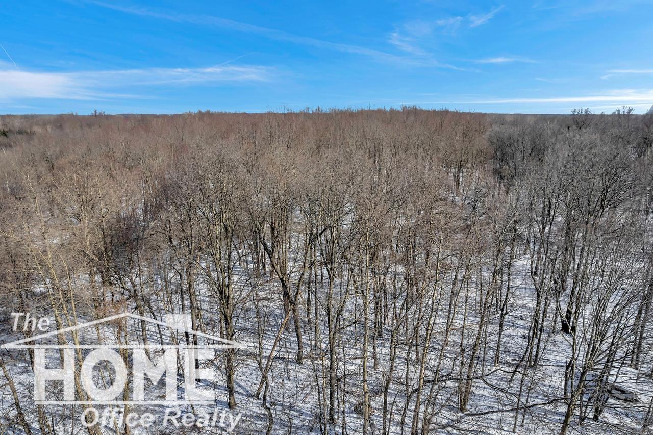 Vac Cork Road Bancroft, MI 48414 - Photo 32 of 46