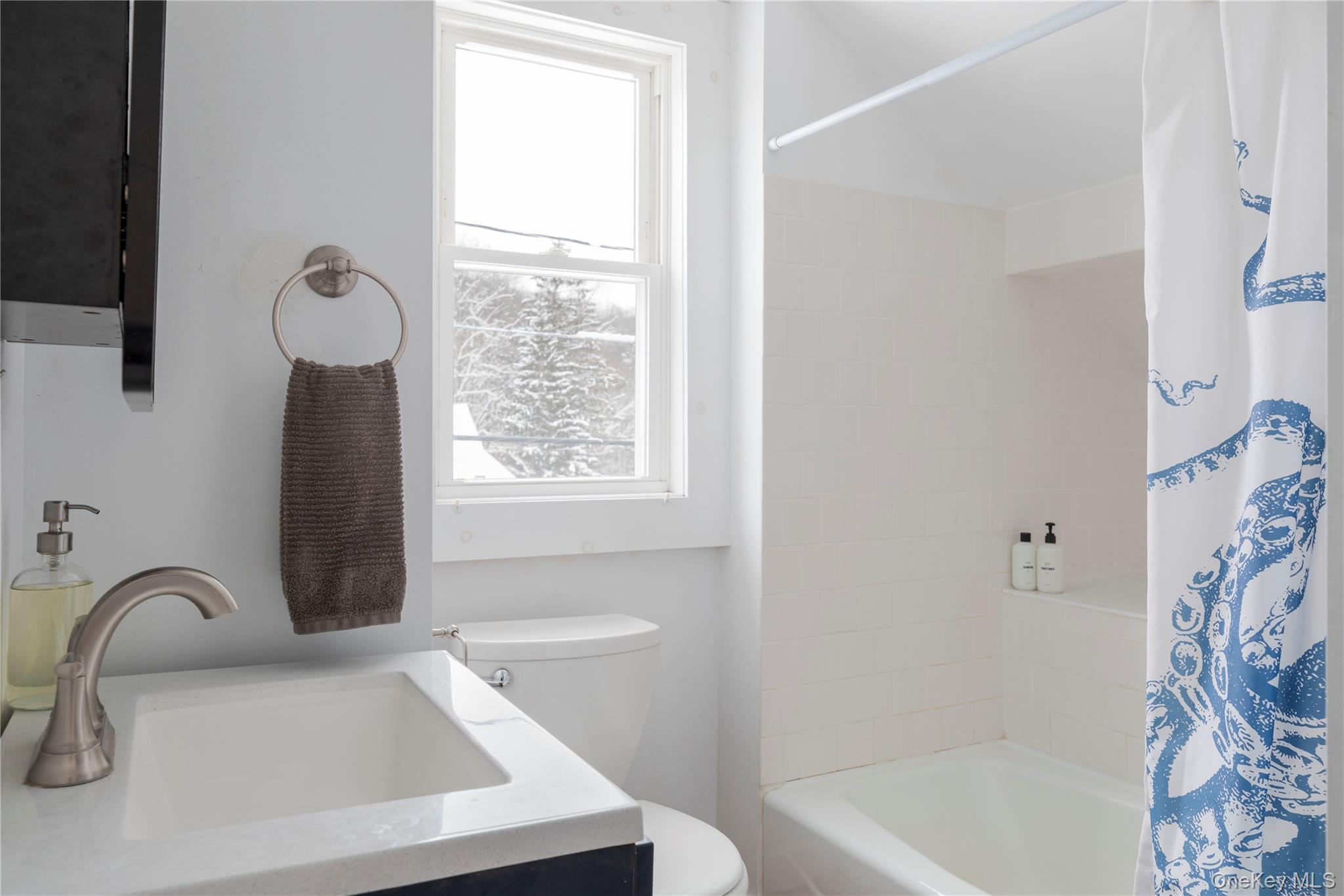 10 Fred Hessinger Road Callicoon Center, NY 12724 - Photo 17 of 28 a bathroom with a bathtub sink and a window
