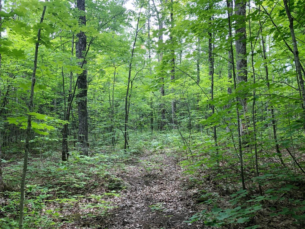 11301 Spring Camp Road Montreal, WI 54550 - Photo 25 of 36 Gallery Image 25