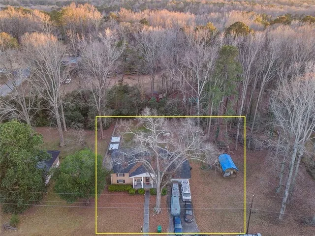 a backyard with tall trees