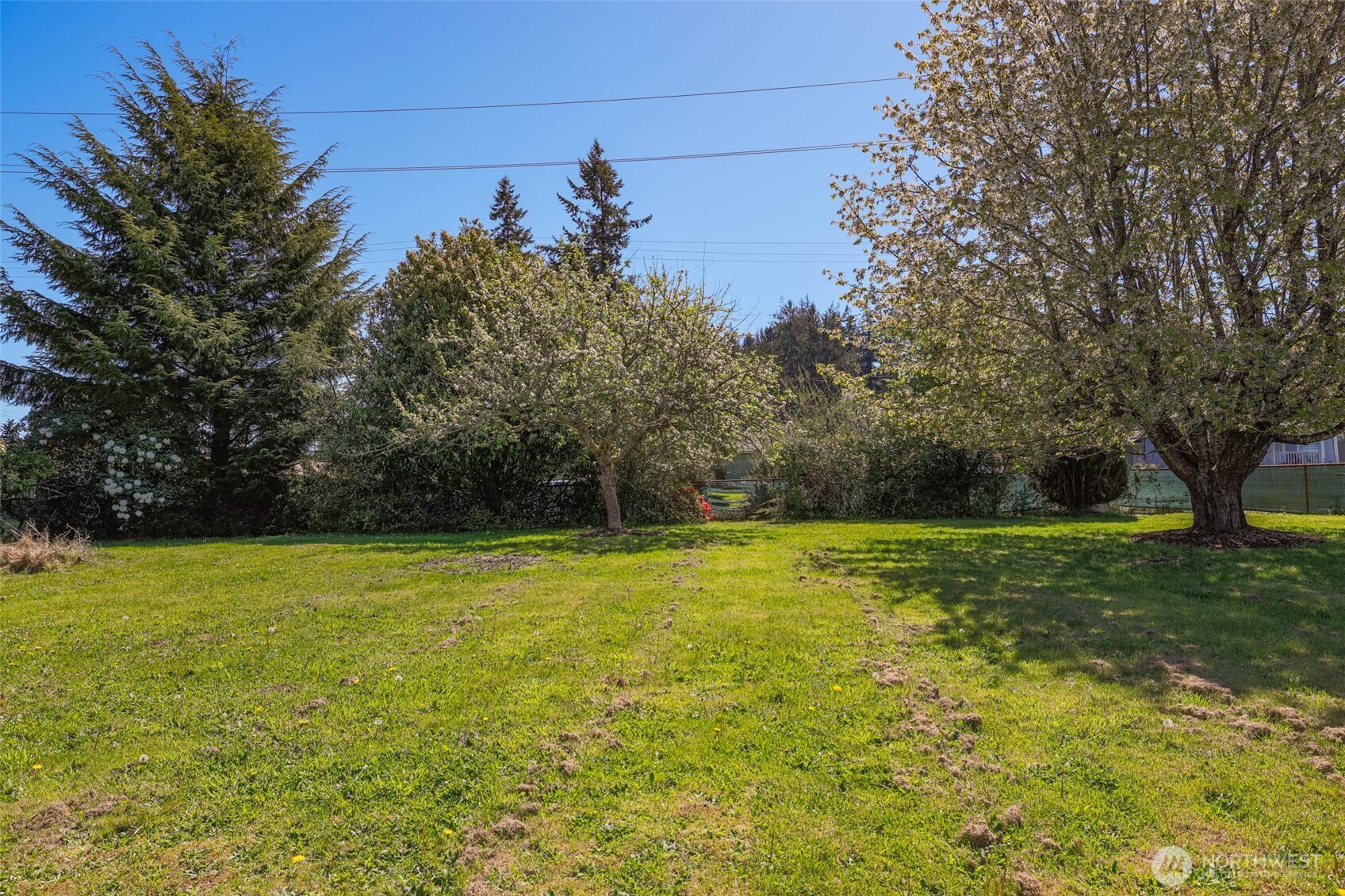 1320 4th Street Cosmopolis, WA 98537 - Photo 36 of 40 a view of a field with a trees in the background