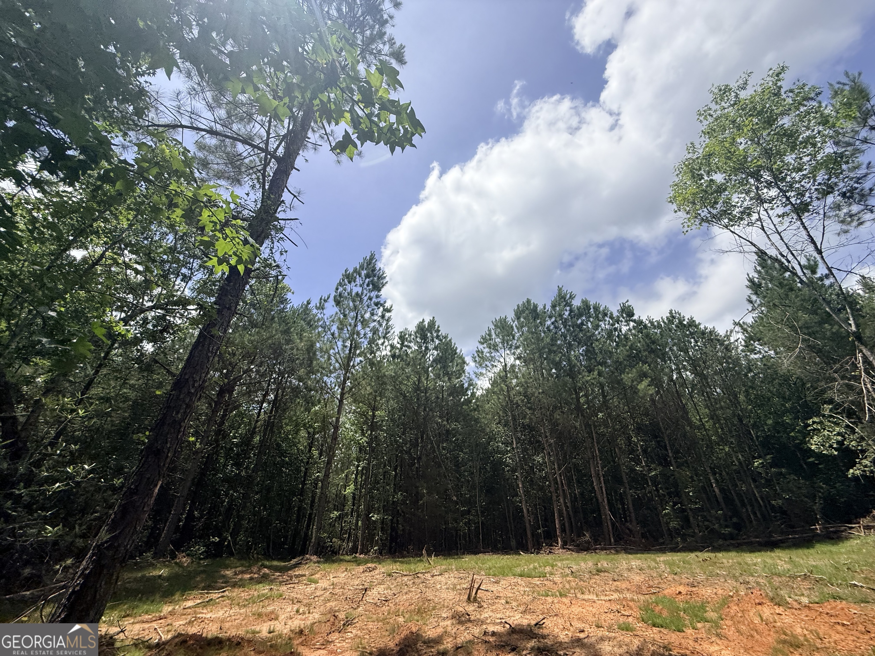 2787 Cedar Creek Road Elberton, GA 30635 - Photo 83 of 88