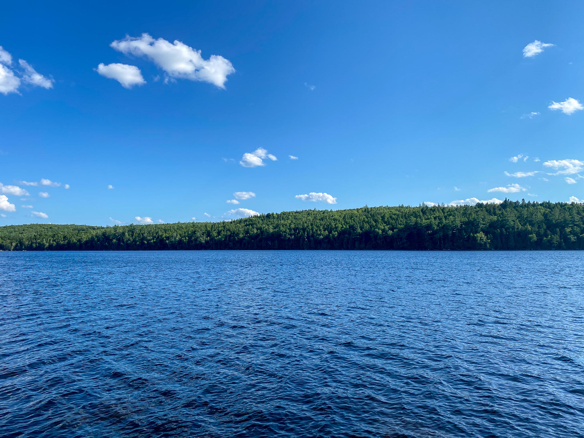 Lot 7-5a Spaulding Pond Road Lakeville, ME 04487 - Photo 9 of 26 main photo