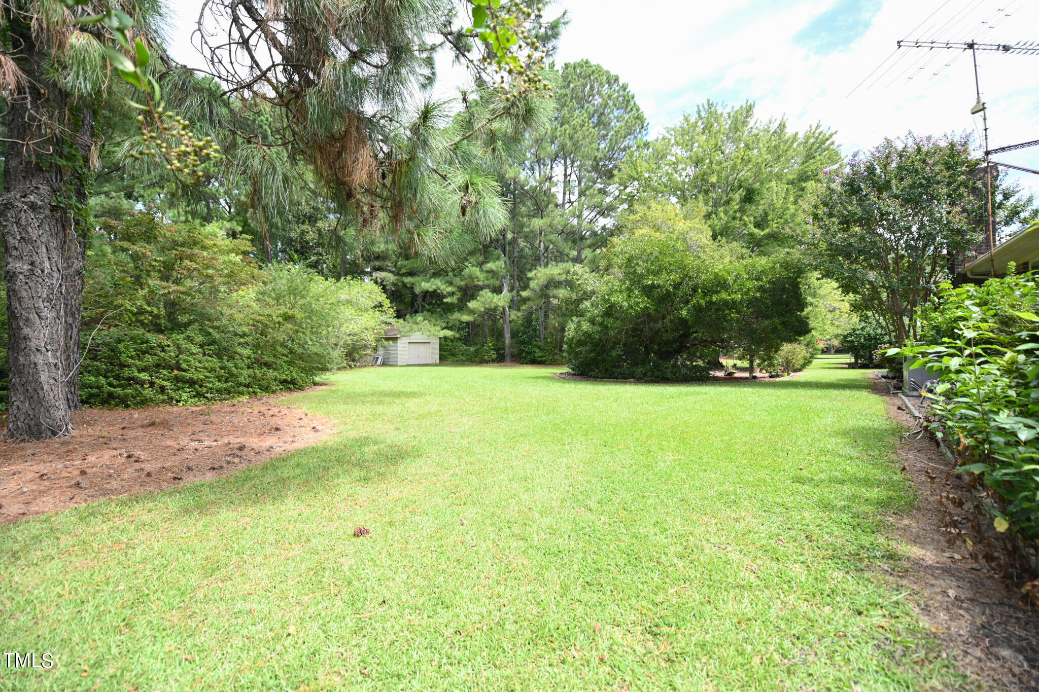 7254 Springfield School Road Lucama, NC 27851 - Photo 48 of 54 a view of a yard with a trees