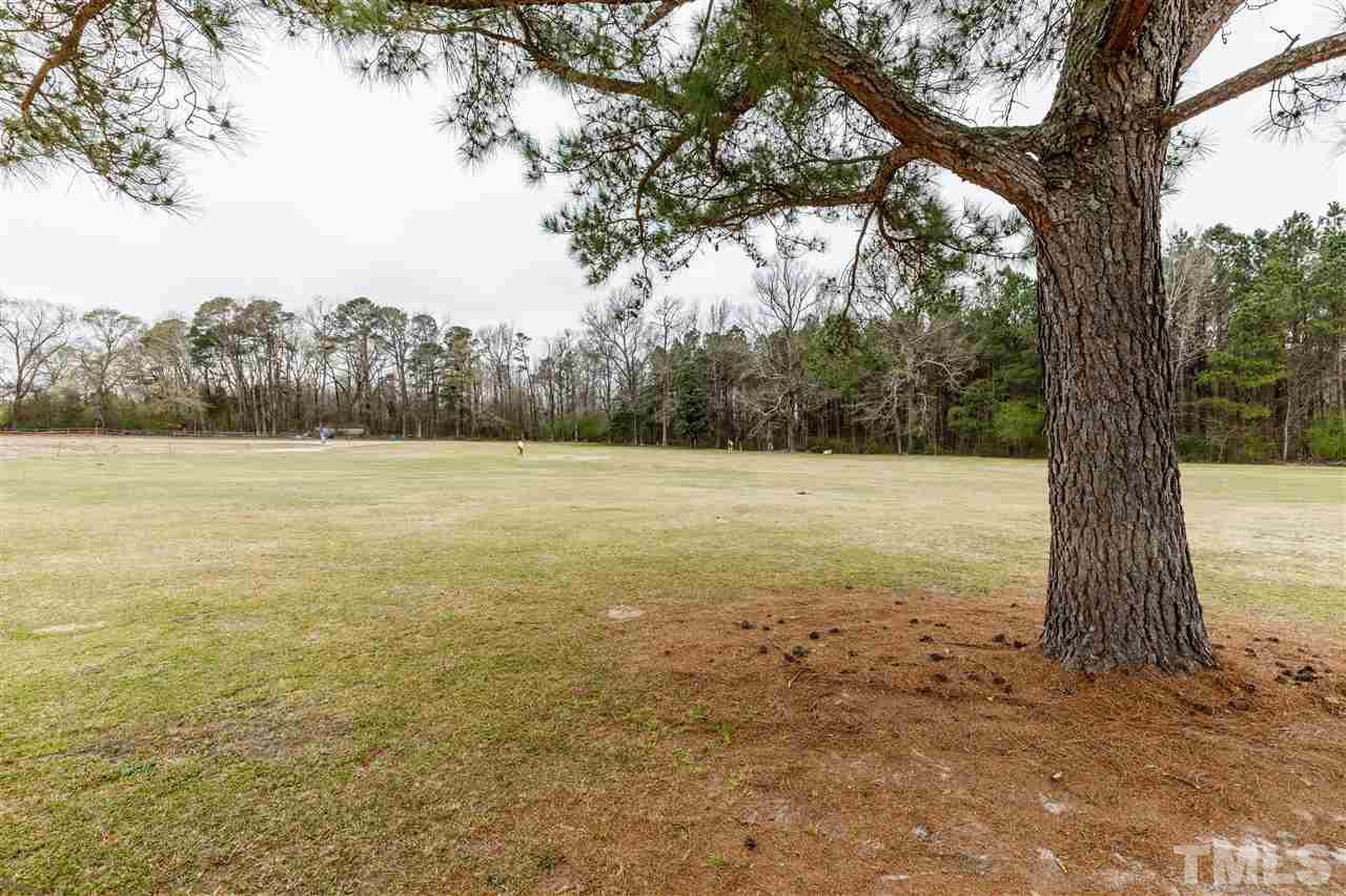 102 Three M Trail Benson, NC 27504 - Photo 8 of 11