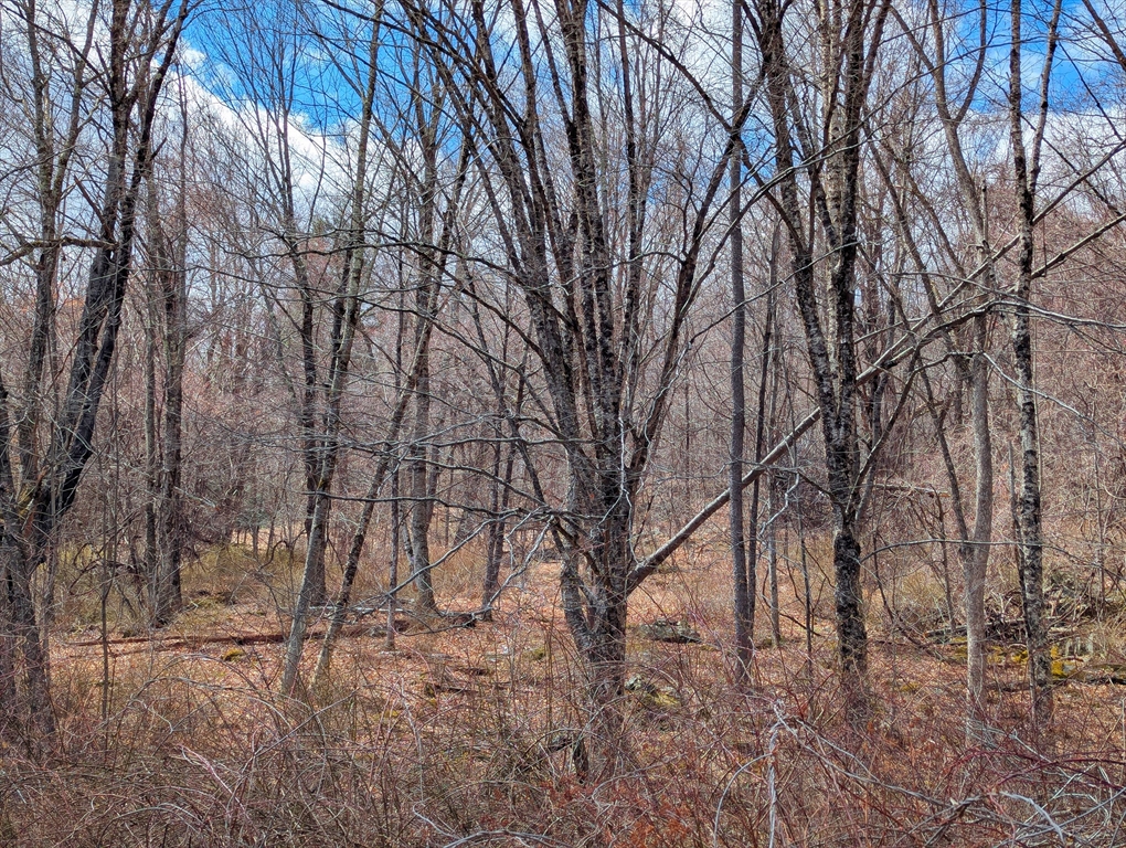 Lot 33.03 William Holmes Road Becket, MA 01223 - Photo 9 of 17 a backyard of a house with lots of green space
