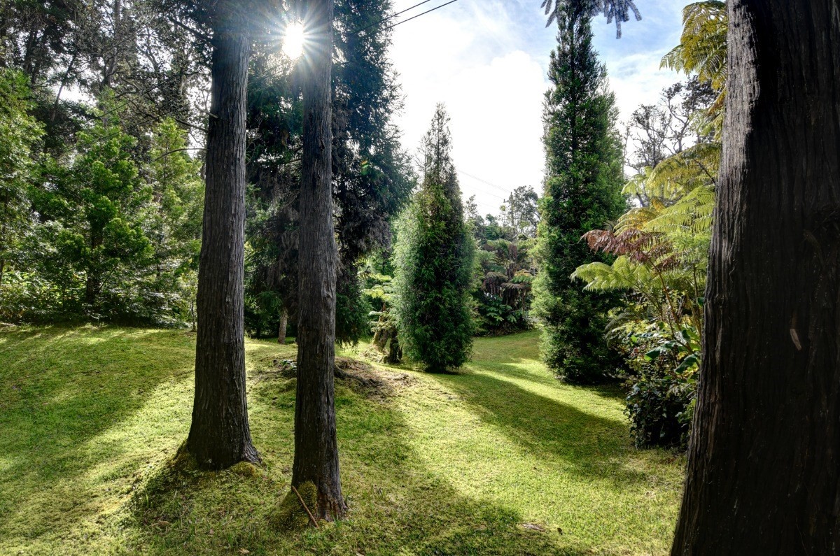 19-4089 Wright Road Volcano, HI 96785 - Photo 4 of 30 a view of outdoor space and yard