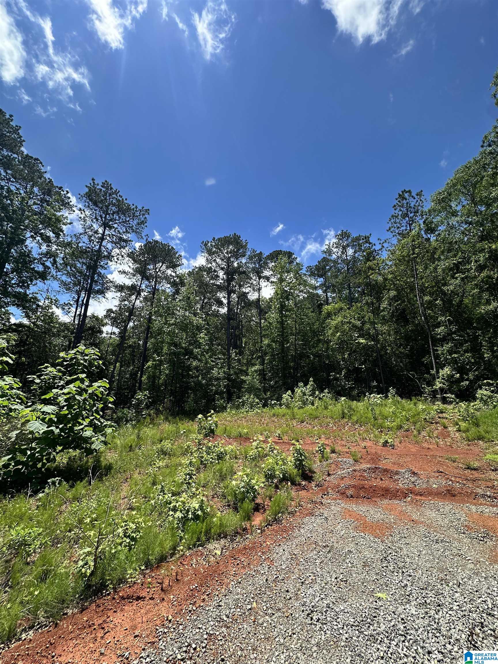 350 Black Acres Road, Unit 11 Cropwell, AL 35054 - Photo 9 of 16
