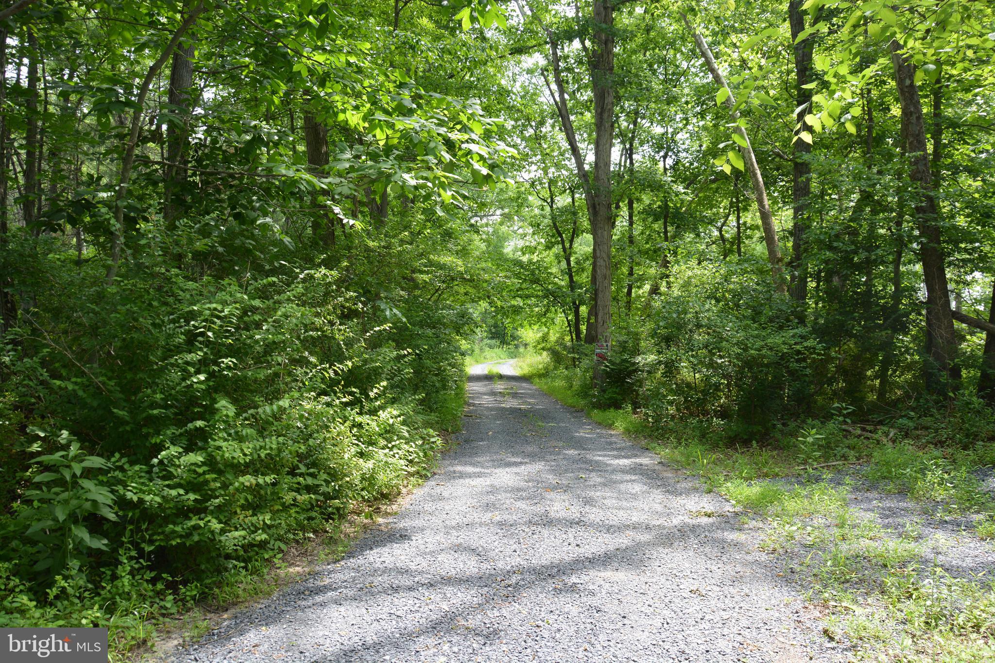 Two Lots On Siler Road Winchester, VA 22603 - Photo 11 of 38 a view of a pathway both side of yard