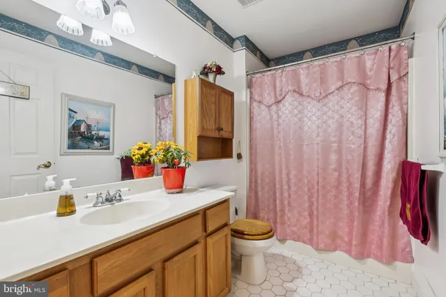 a bathroom with a sink a toilet and shower curtain