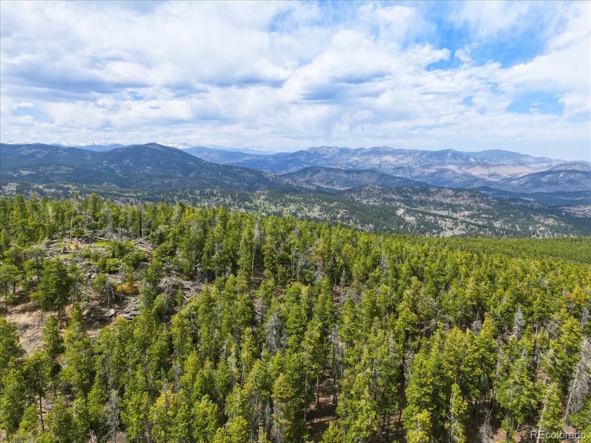 0 Sinton Road Evergreen, CO 80439 - Photo 10 of 20