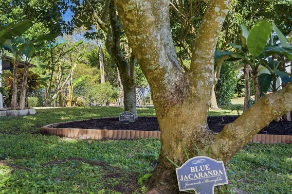 a view of an outdoor space with yard