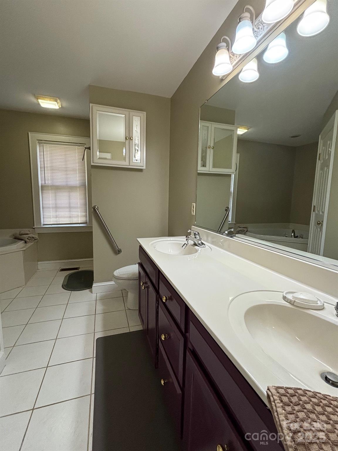 407 State Park Road Troutman, NC 28166 - Photo 19 of 21 a bathroom with a sink a toilet a mirror and shower