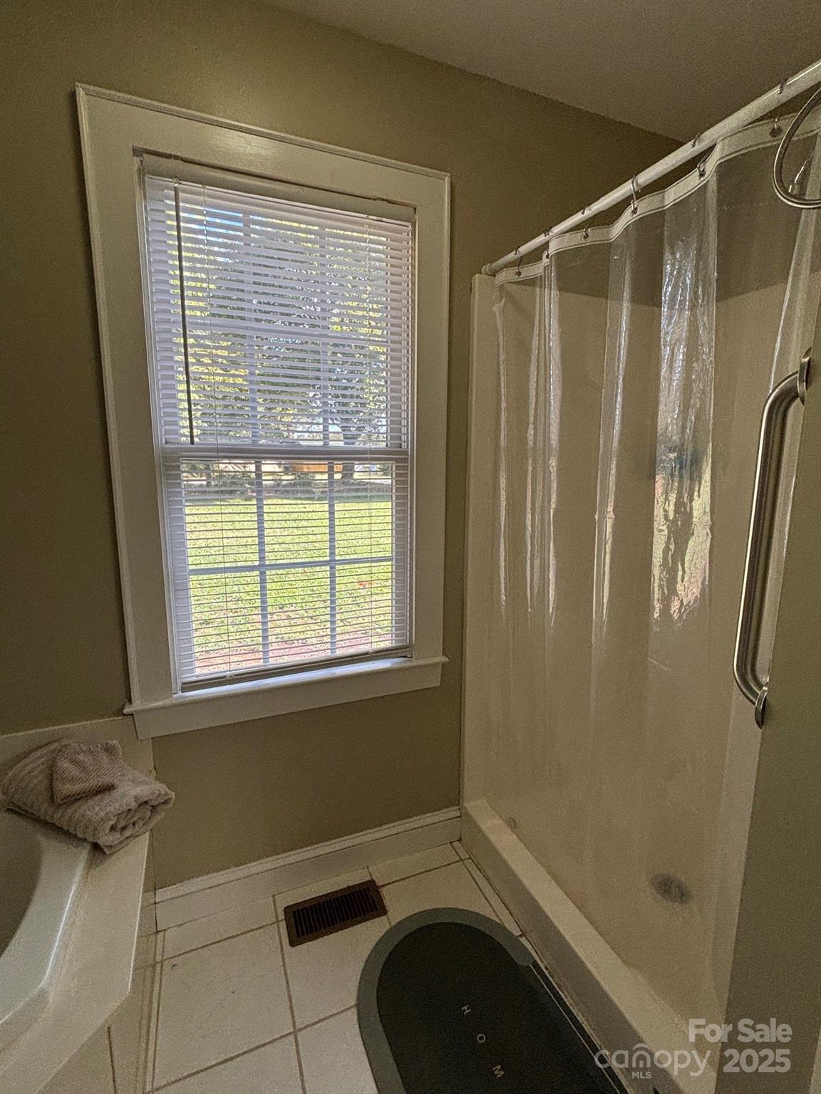 407 State Park Road Troutman, NC 28166 - Photo 20 of 21 a bathroom with a shower and a toilet