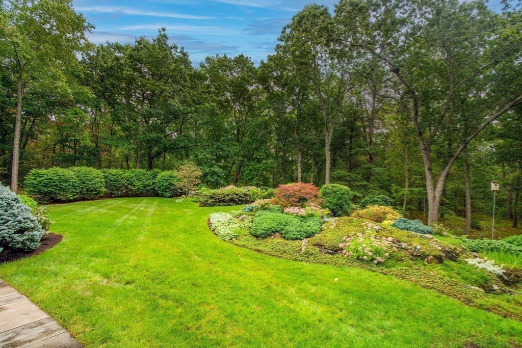 48 Miller Hill Road Dover, MA 02030 - Photo 23 of 26 a backyard of a house with lots of green space