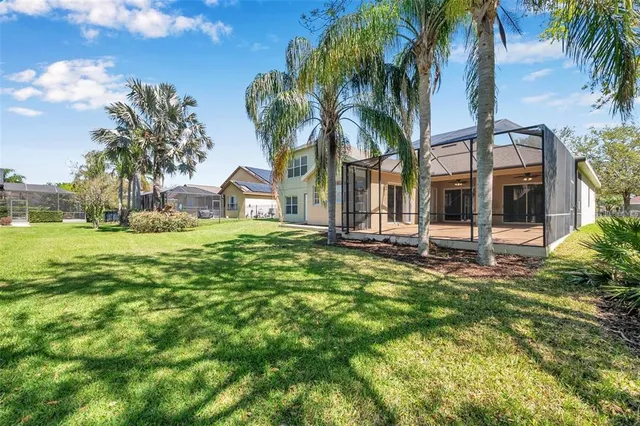 a view of a park with palm trees