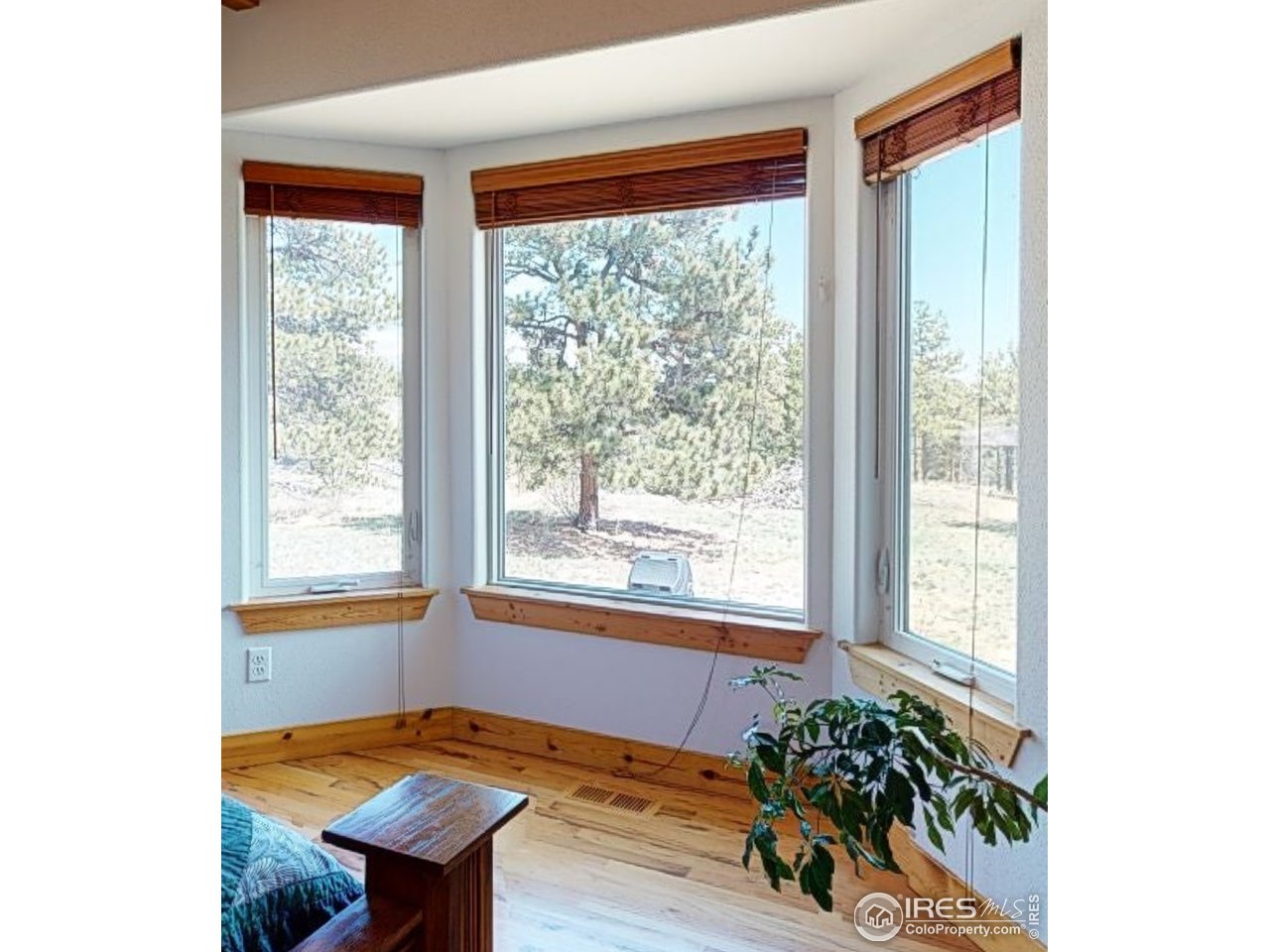 1925 Old Ranch Road Livermore, CO 80536 - Photo 12 of 40 Master room bay windows.